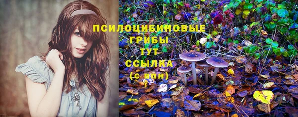мдма Гусиноозёрск