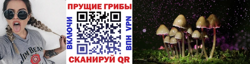Купить где  Злынка  Псилоцибиновые грибы мухоморы 